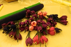 dscn2668