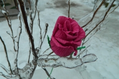 dscn2677