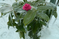 dscn2678