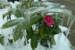 dscn2681
