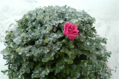 dscn2685