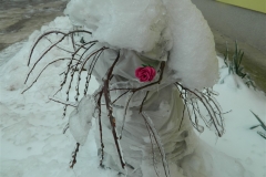 dscn2688