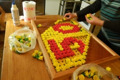 dscn2725