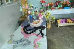 dscn2929