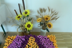 dscn2970