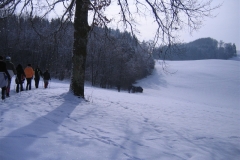vrh-27-1-13-006