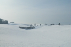 vrh-27-1-13-007