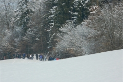 vrh-27-1-13-008