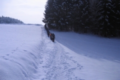 vrh-27-1-13-010
