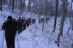 vrh-27-1-13-065