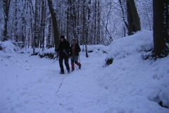 vrh-27-1-13-067