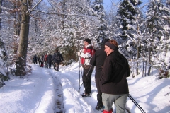 vrh-27-1-13-071