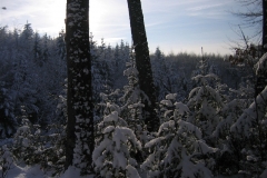 vrh-27-1-13-073