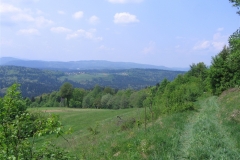 73