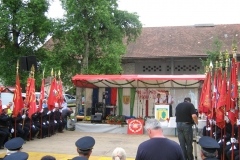 5 2010
