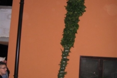 butara-16-4-2011-068