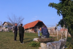 brslin25-3-12-022