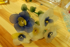 dscn2566