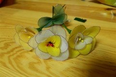 dscn2578