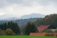 DSC_6876