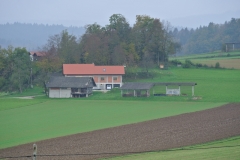 DSC_6905