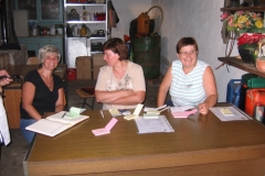 veselica-30-6-12-023