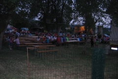 veselica-30-6-12-050