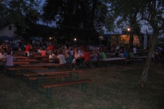 veselica-30-6-12-051