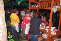 veselica-30-6-12-080