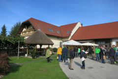 IMG_7371