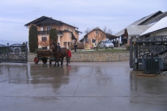 koledovanje-26-12-11-124