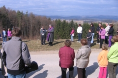 krizec-pot-sad-rdeci-kal-11-3-12-010