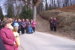 krizec-pot-sad-rdeci-kal-11-3-12-032