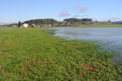 022