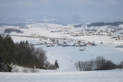 IMG_9936