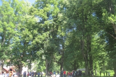 orientacijski-tek-16-6-12-019