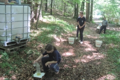 orientacijski-tek-16-6-12-039