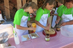 veselica-17-8-14-067